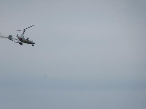 IMG_2248
