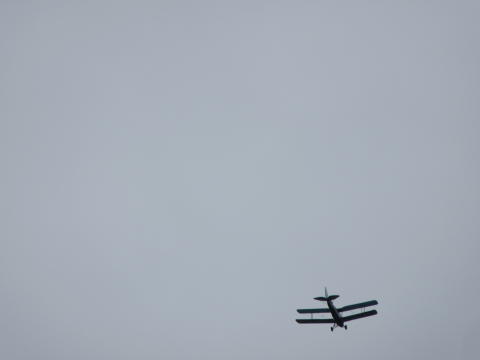 IMG_0924