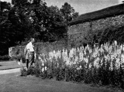 A colourful corner in Manor Park