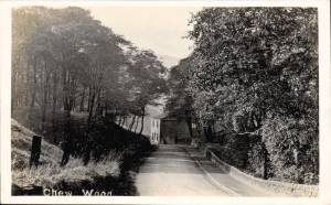 Chew Wood