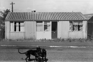 Whitfield prefab