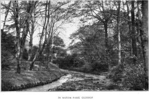 Manor Park
