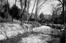 In Manor Park