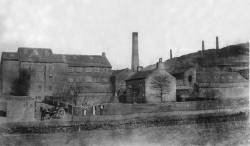 Meadow Mills