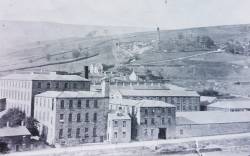 Meadow Mills