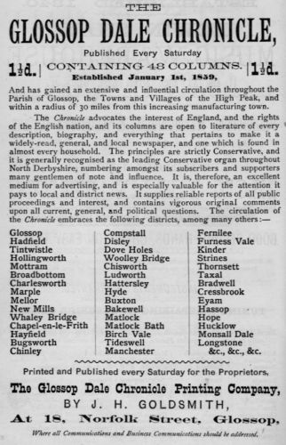Chronicle advert, 1878 directory