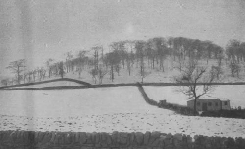 �The Castle� in Winter Garb