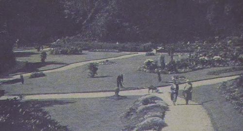 Rose Garden, Manor Park