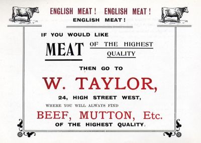 Advertisement for Taylor's 1904